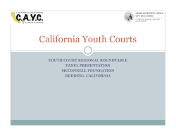 Roundtable Youth Court Presentation