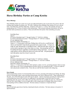 Horse Birthday Party Guide