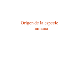 Origen Homo sapiens