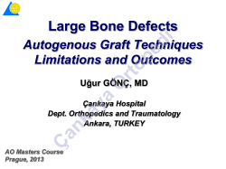 Large Bone Defects - Ãankaya Ortopedi Grubu
