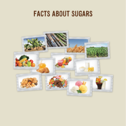 Facts about sugars - Brochure
