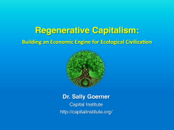 Regenerative Capitalism: