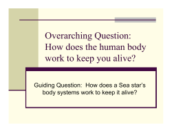 Overarching Question: How does the human body work to keep you