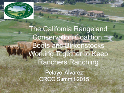 Boots and Birkenstocks Working Together to Keep Ranchers