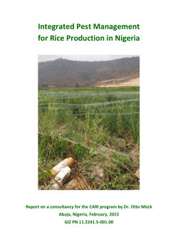 To - Competitive African Rice Initiative