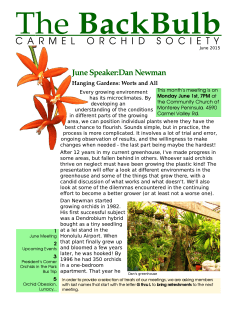 June BackBulb  - Carmel Orchid Society