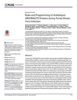 Roles and Programming of Arabidopsis