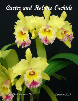 Summer 2015 Catalog - Carter & Holmes Orchids