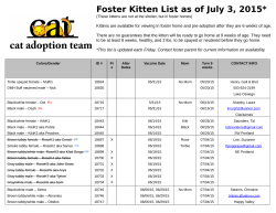 Kitten List  - Cat Adoption Team