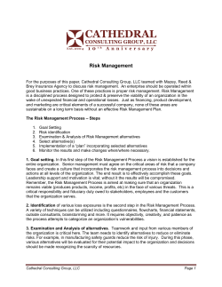 Risk Management - Cathedral Consulting Group