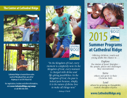2015 Summer Camp Brochure