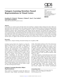 Category Learning Stretches Neural Representations in