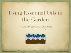 Gardening with Essential Oils - Catonsville Cooperative Market