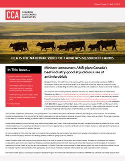 View PDF - The Canadian Cattlemen`s Association