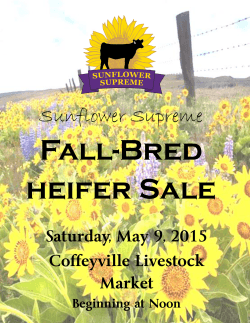 2015 fall bred.pub - Sunflower Supreme Replacement Heifer Program