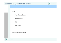 Carbon & Biogeochemical cycles