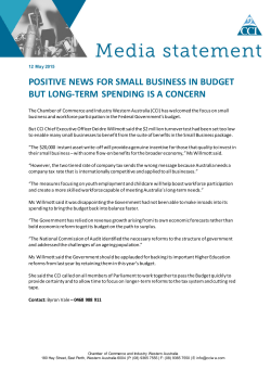 POSITIVE NEWS FOR SMALL BUSINESS IN BUDGET BUT LONG