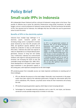 Small scale IPPs in Indonesia