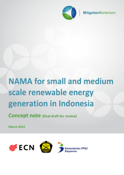 NAMA for small and medium scale renewable energy