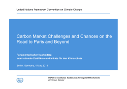 Carbon Market Challenges and Chances on the Road to Paris and