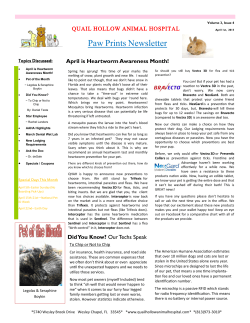Paw Prints Newsletter