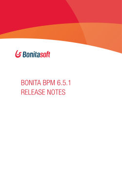 Bonitasoft Release Notes