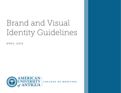 Brand and Visual Identity Guidelines