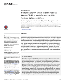 Restoring the ON Switch in Blind Retinas: Opto
