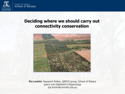 Deciding where we should carry out connectivity conservation