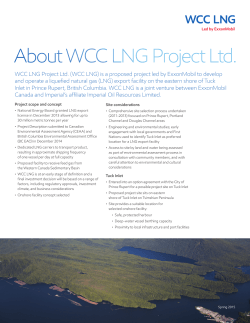 About WCC LNG Project Ltd.