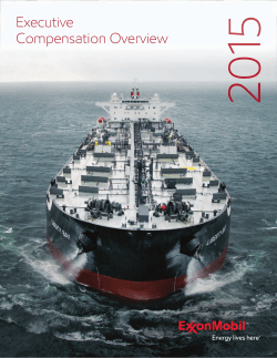 2015 Executive Compensation Overview