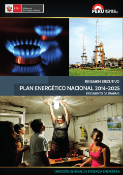 PLAN ENERGÃTICO NACIONAL 2014-2025
