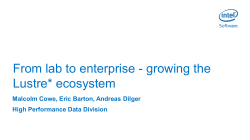 From lab to enterprise - growing the Lustre* ecosystem