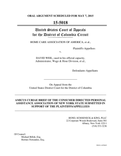 to view CDPAANYS` Amicus Brief in full.