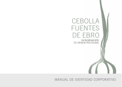 MANUAL CORPORATIVO DO 2 - DO Cebolla Fuentes de Ebro