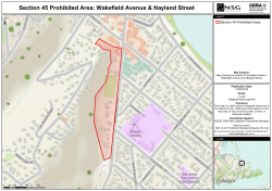 S45 Prohibited areas at Wakefield Avenue and Nayland Street 13