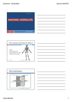 Anatomie - GÃ©nÃ©ralitÃ©s BP AAN - 2015