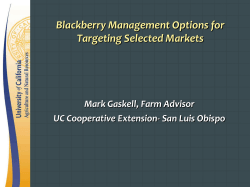 Blackberry Management Options for Targeting Selected Markets