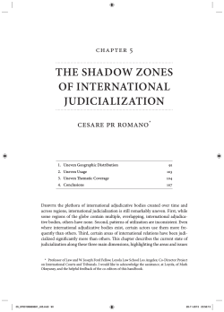 the shadow zones of international judicialization