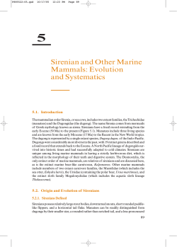 Sirenian and Other Marine Mammals: Evolution and Systematics