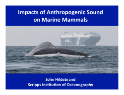 Impacts of Anthropogenic Sound