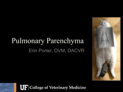 Pulmonary Parenchyma