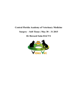Soft Tissue - Central Florida Academy of Veterinary Medicine