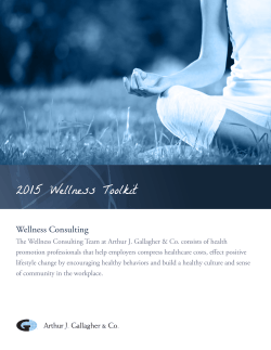 2015 Wellness Toolkit