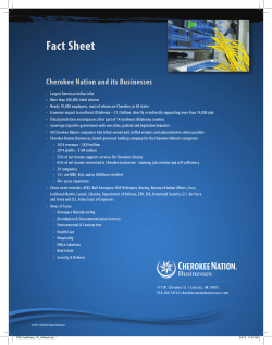 Fact Sheet - Cherokee Nation Businesses