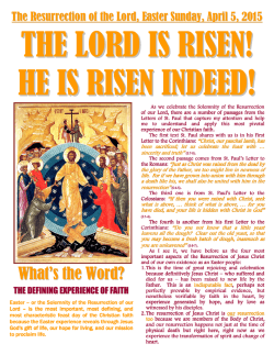 What`s the Word? - Franciscan Sisters of Chicago