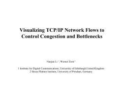 Visualizing TCP/IP Network Flows to Control