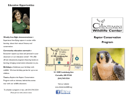 - Chintimini Wildlife Rehabilitation Center