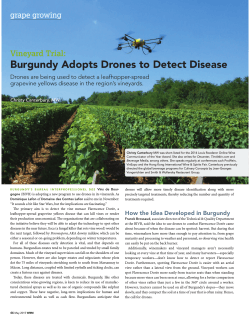 Burgundy Adopts Drones to Detect Disease