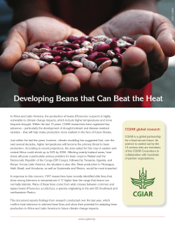 DEVELOPING BEANS THAT CAN BEAT THE HEAT